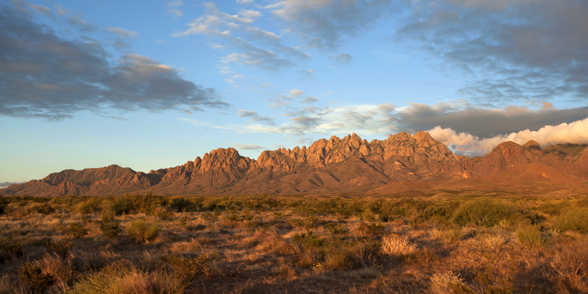 Organ Mountains